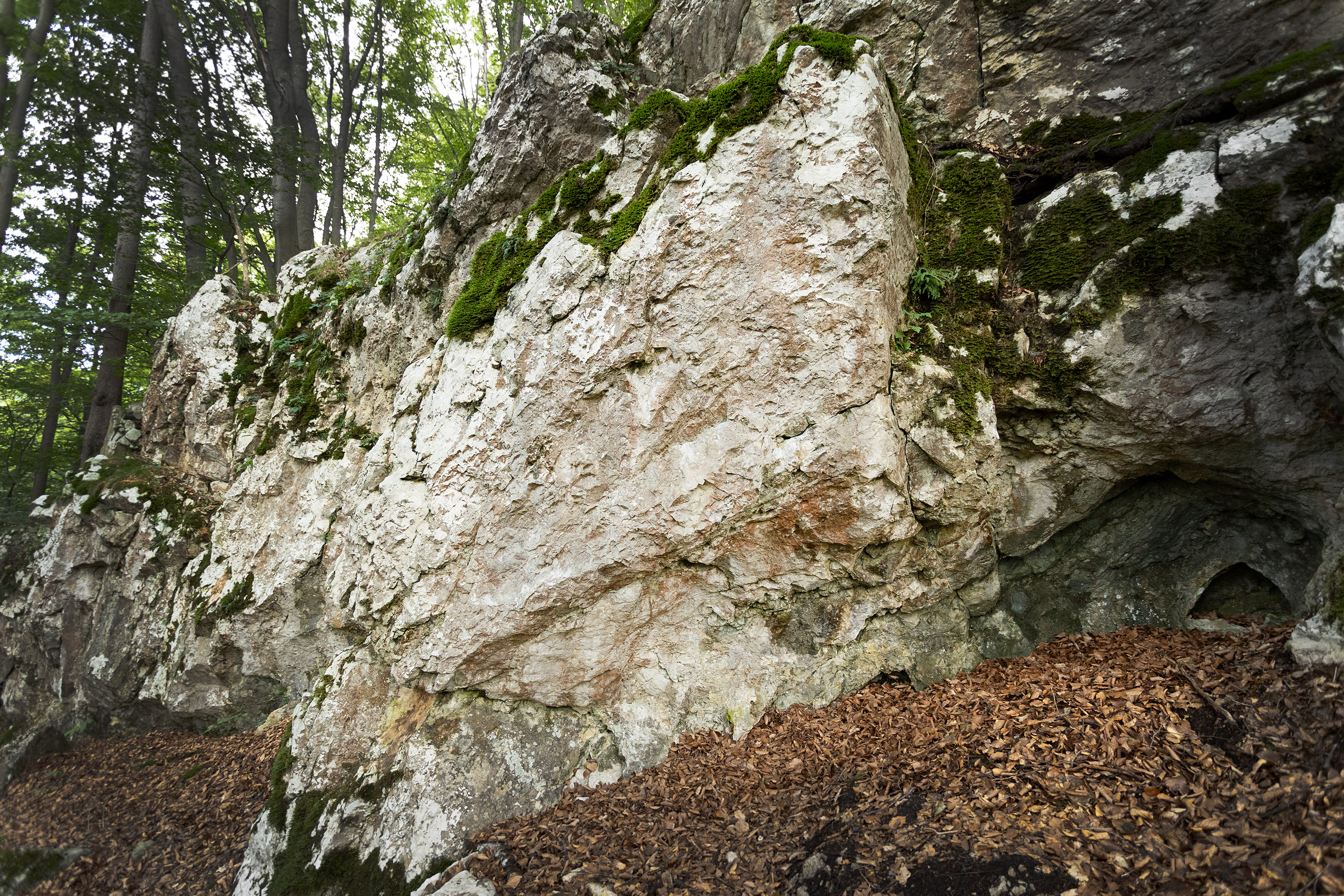 Topo image