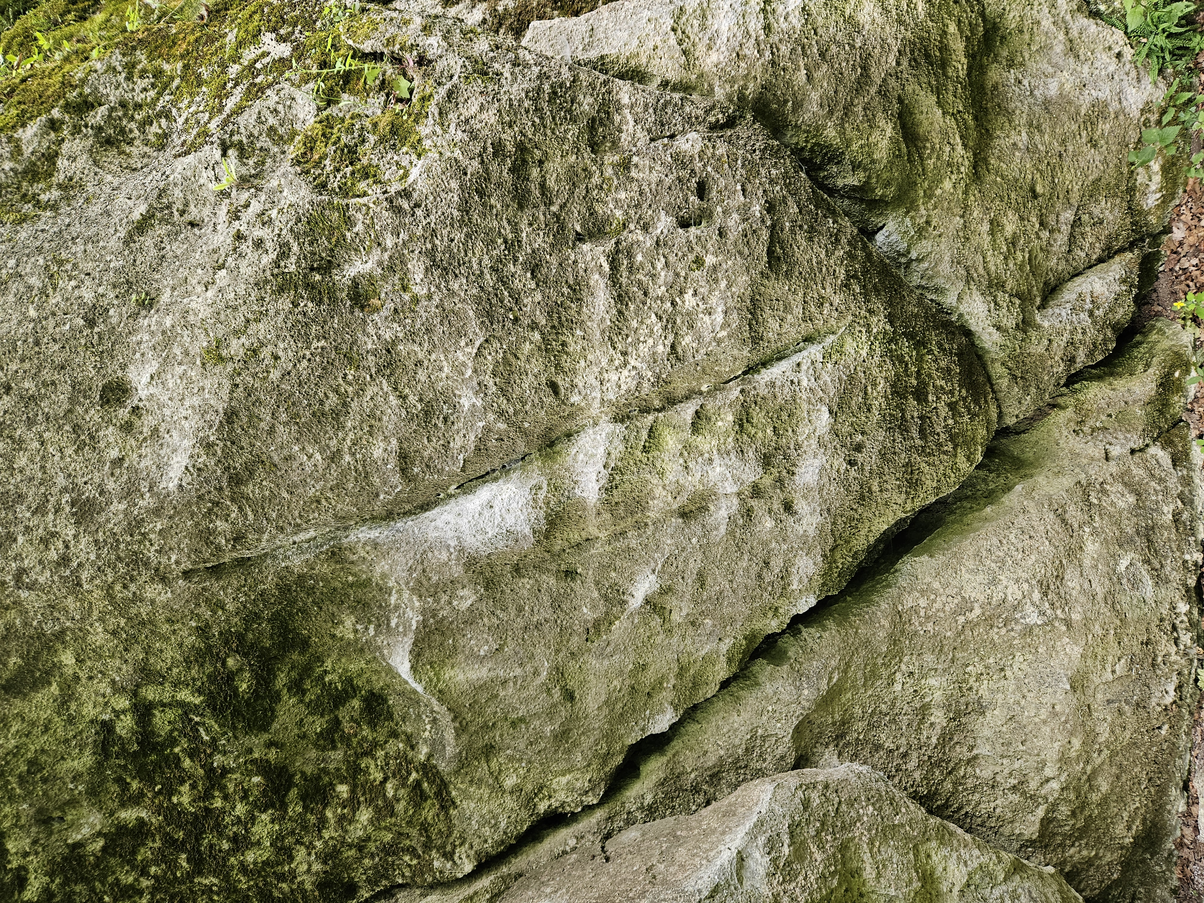 Topo image