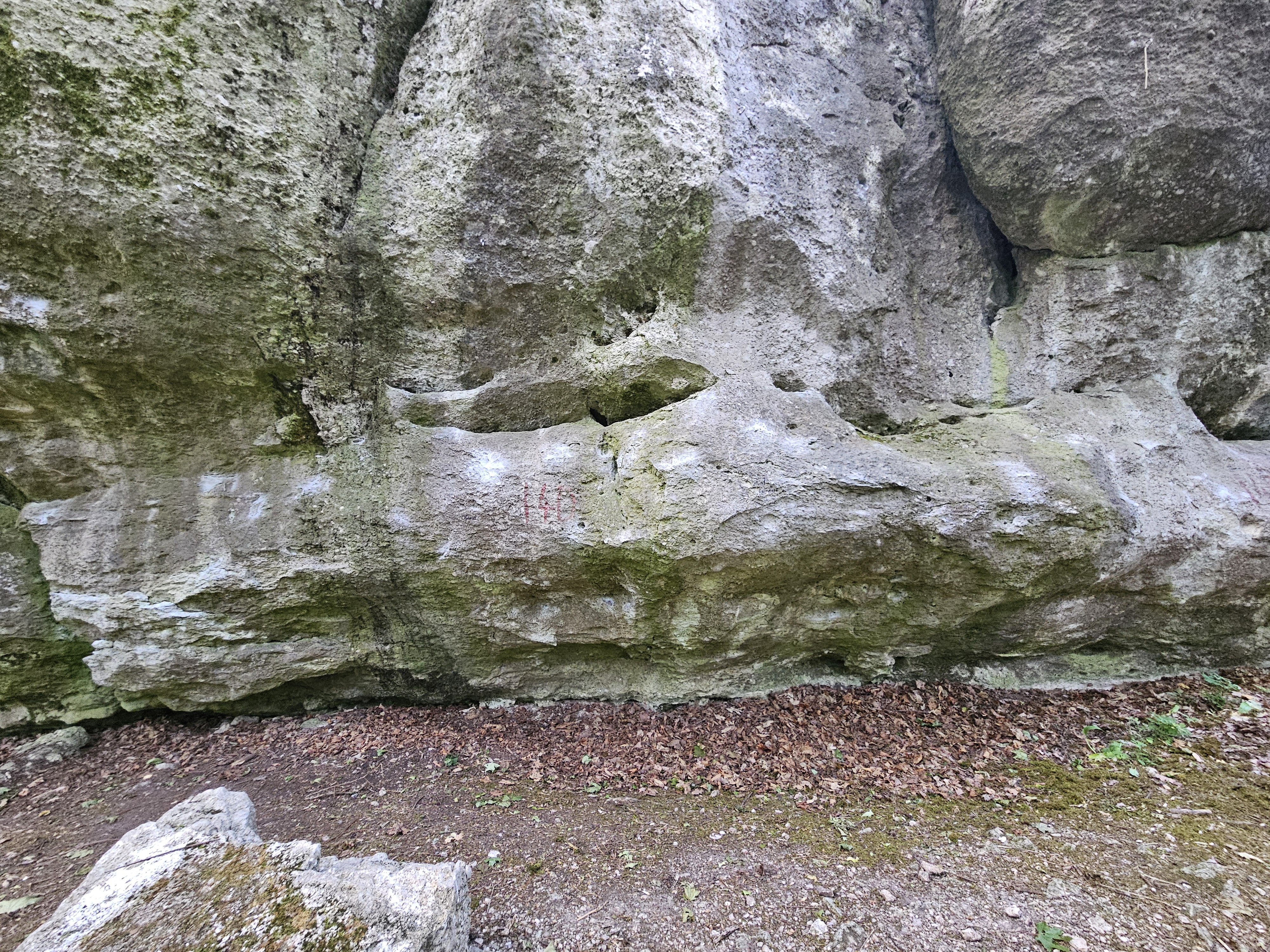 Topo image
